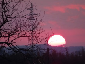 IMG_4413