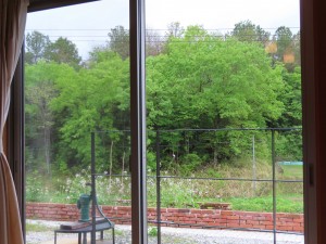 IMG_4613