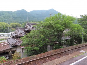 IMG_4793