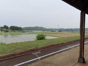 IMG_4768