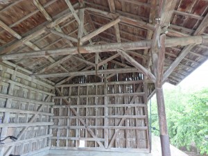 IMG_4775