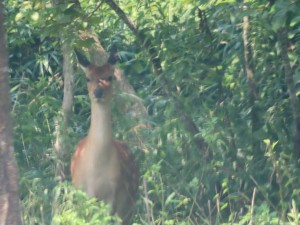 IMG_5000