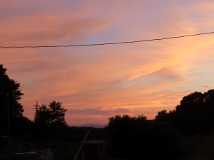IMG_5023