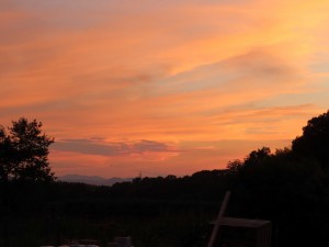 IMG_5024