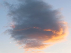 IMG_5044
